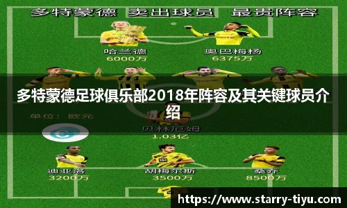 星空体育官网