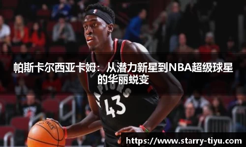 星空体育官方网站